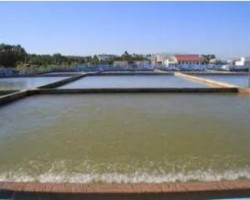 金桂漿紙榮獲“2019年度自治區節水型企業”稱號