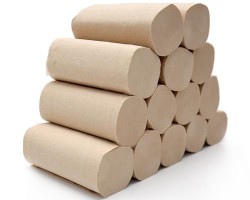 女性頻繁使用衛生紙造成外陰瘙癢