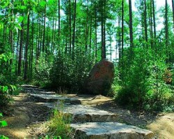 近8年我國(guó)森林火災(zāi)發(fā)生率下降41%