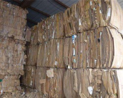 我國廢紙回收率提升至49%