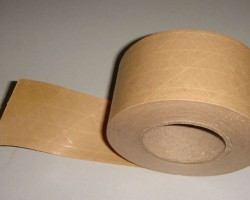 玖龍紙業(yè)將在海南打造再生資源交易平臺(tái)基地