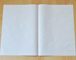 Domtar將投入3億美元推動(dòng)再生紙廠轉(zhuǎn)產(chǎn)