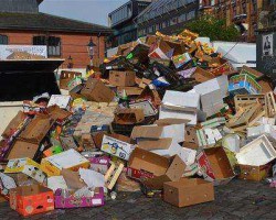 2020年第十一批限制類進口公示：廢紙核準總量19.784萬噸