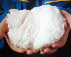 張茵：禁止廢紙進口真正把我們逼出來了