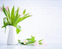 垃圾分類 光明未來 光明乳業牛奶紙盒回收綠色大行動江蘇站收官告捷