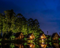 2020年1-11月 造紙和紙制品業利潤同比增長15%