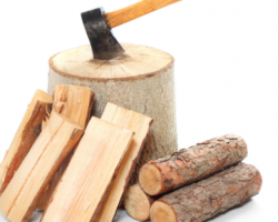 紙業板塊個股僅1只下跌 岳陽林紙等3只個股漲停 有機構稱造紙業有望迎來向上行情