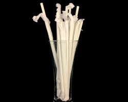 8批次食品接觸用紙制品不合格 涉及展藝、尚島宜家等品牌