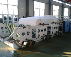 譚丕創與金光集團大紙事業部CEO王樂祥一行座談