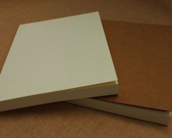 邱創華成為永豐余工業用紙新任董事長