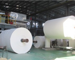 探秘衛生紙廠家：品質背后的匠心與實力