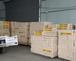 衛生紙廠家揭秘：卓越品質背后的生產工藝與創新力量