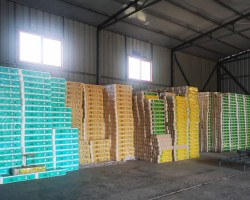 衛生紙品牌忠誠度培養：從用戶體驗到情感連接的深度構建